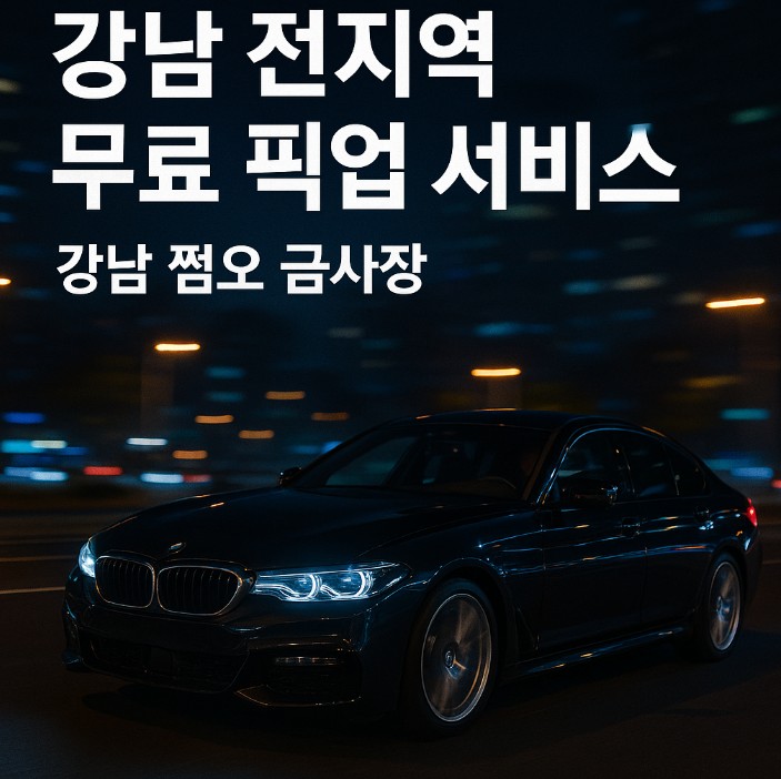 강남 아가씨 술집 추천 강남 아가씨 술집 추천