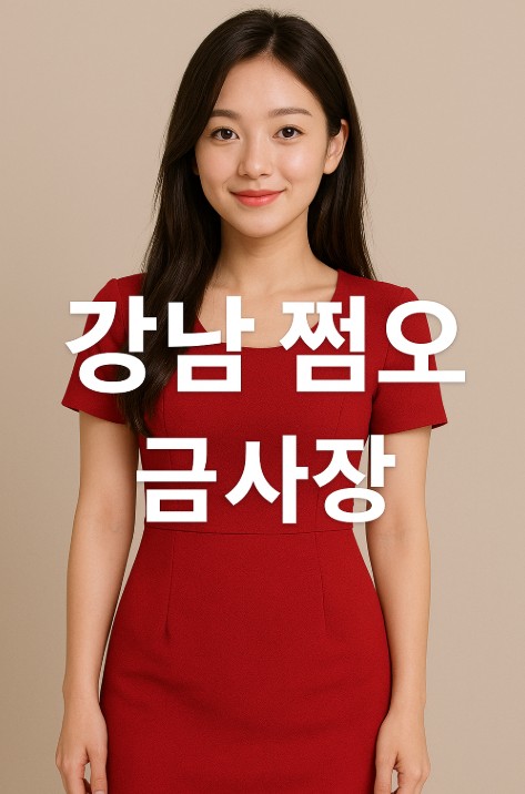 강남 룸 강남 룸