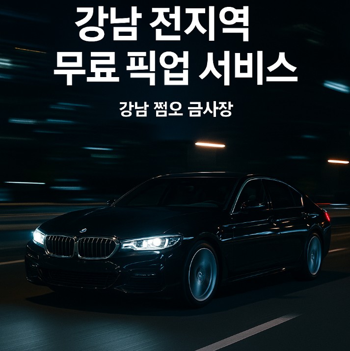 강남 고급 룸살롱
