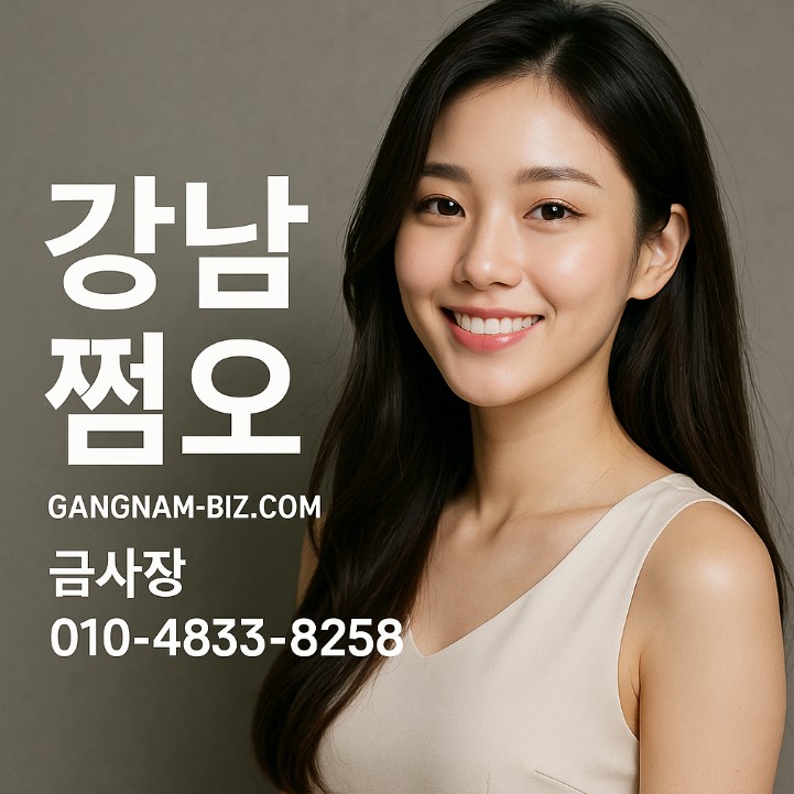 강남 아가씨 술집 강남 아가씨 술집